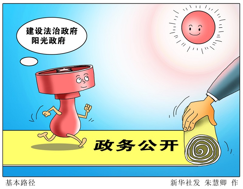 中共中央辦公廳 國務(wù)院辦公廳關(guān)于進一步推行政務(wù)公開的意見