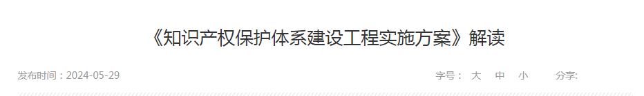 《知識(shí)產(chǎn)權(quán)保護(hù)體系建設(shè)工程實(shí)施方案》解讀